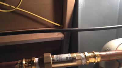 Dual Check Valve Photo