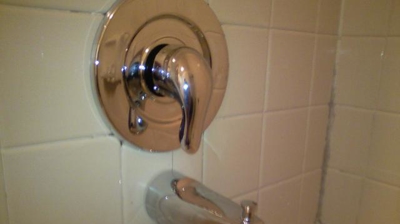 Moen Posi Temp Tub/Shower Fixture Photo