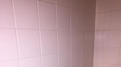 New shower handle after diverter and hot/cold supply replacement Photo