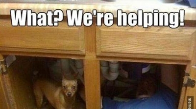 Plumber's Best Friends Photo