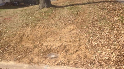 Job Finished, With Minimal Impact on Yard Photo