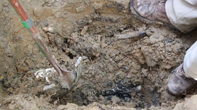 The Black Dirt is Mixed with Sewage Photo