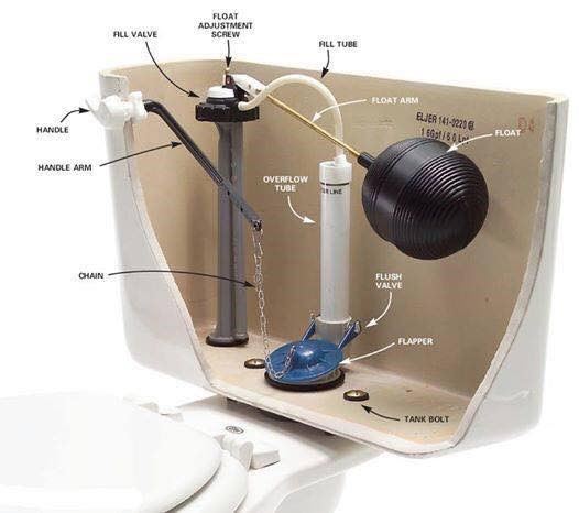 Hvad angår folk Kunstig bent The Parts of a Toilet | DB's Plumbing & Drain